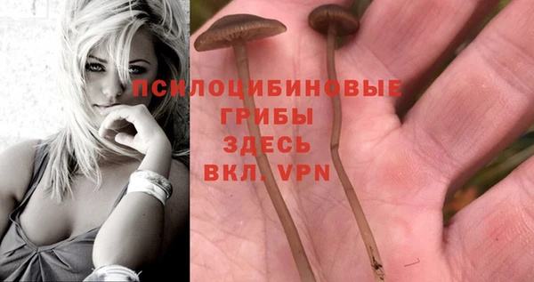 МДМА Белоозёрский