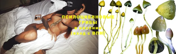 эйфоретик Белокуриха