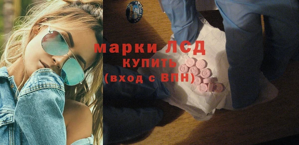 хмурый Гатчина