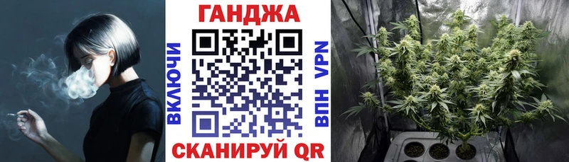 купить наркоту  маркетплейс состав  кракен ССЫЛКА  Канабис сатива  Дигора 